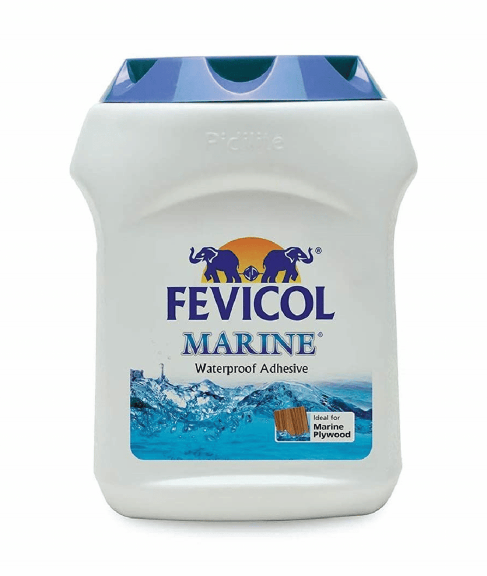 Fevicol